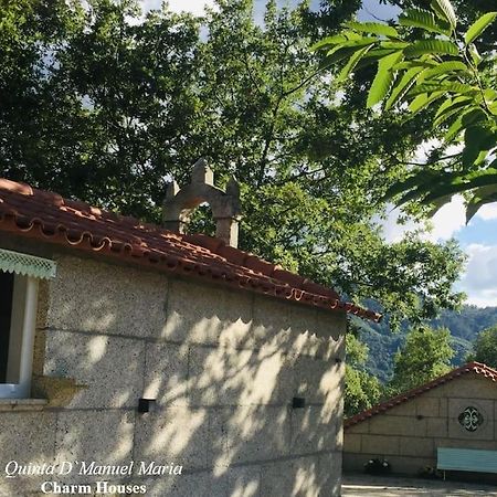 Amarante-Quinta D'Manuel Maria, Rural Charm Houses Dış mekan fotoğraf